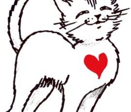 #1 Loved cat Ján Mišun / Zaľúbená mačka