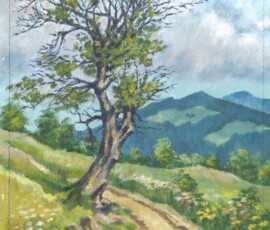 Journey to Červený Kameň Ján Mišun / Cesta na Červený Kameň