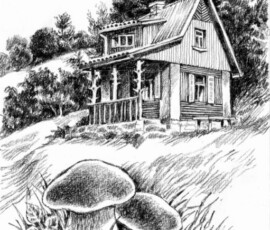 Kamenská Cottage - pen drawing Ján Mišun / Kamenská chata - perokresba