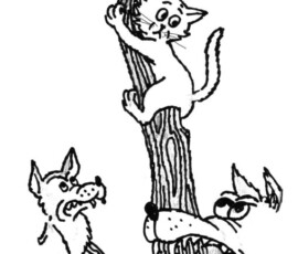 Cat in a tree Ján Mišun / Mačka na strome