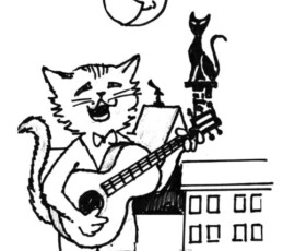 Night-time suitor with a guitar Ján Mišun / Nočný nápadník s gitarou